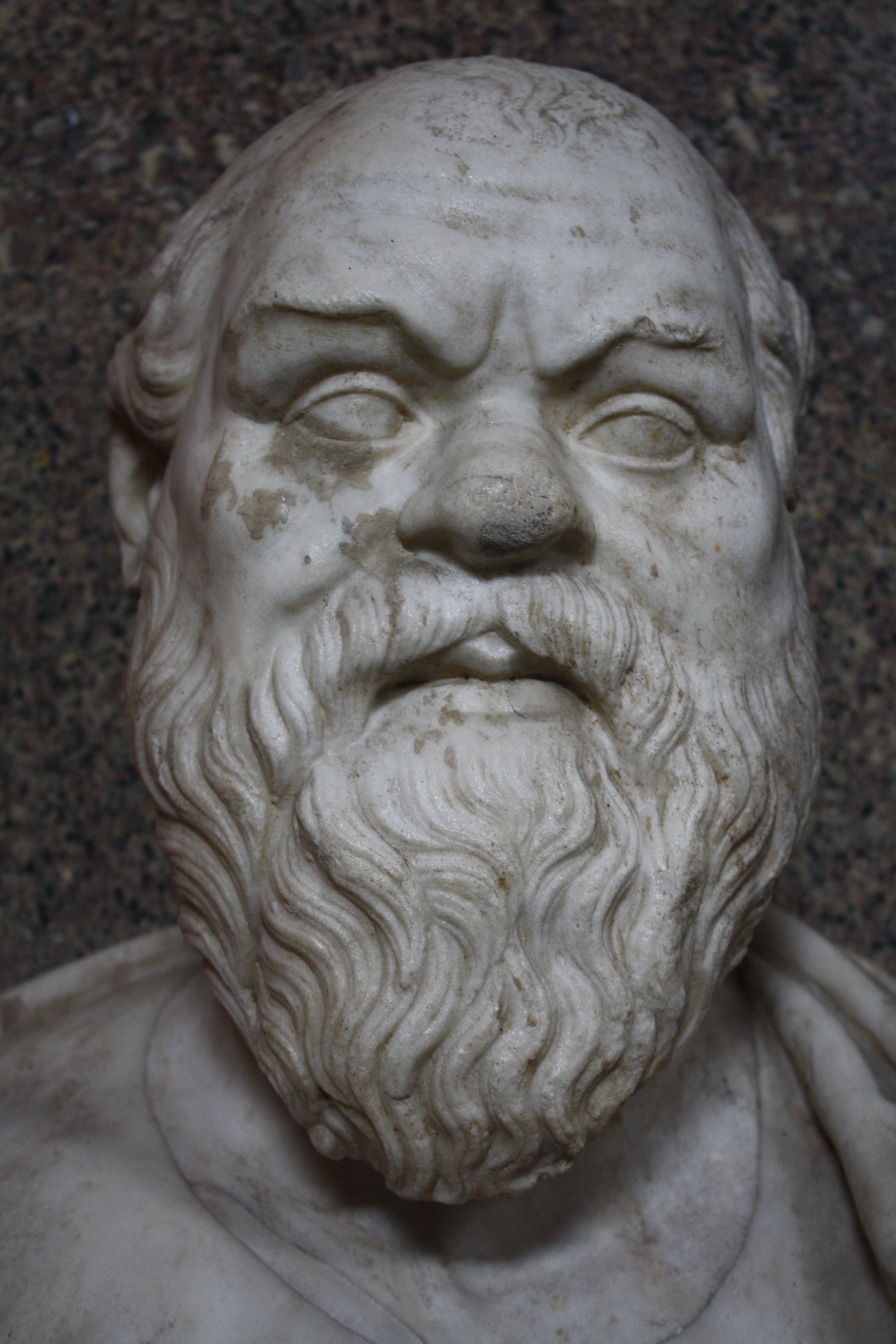 Socrates Bust, Vatican Museums (Illustration) - World History