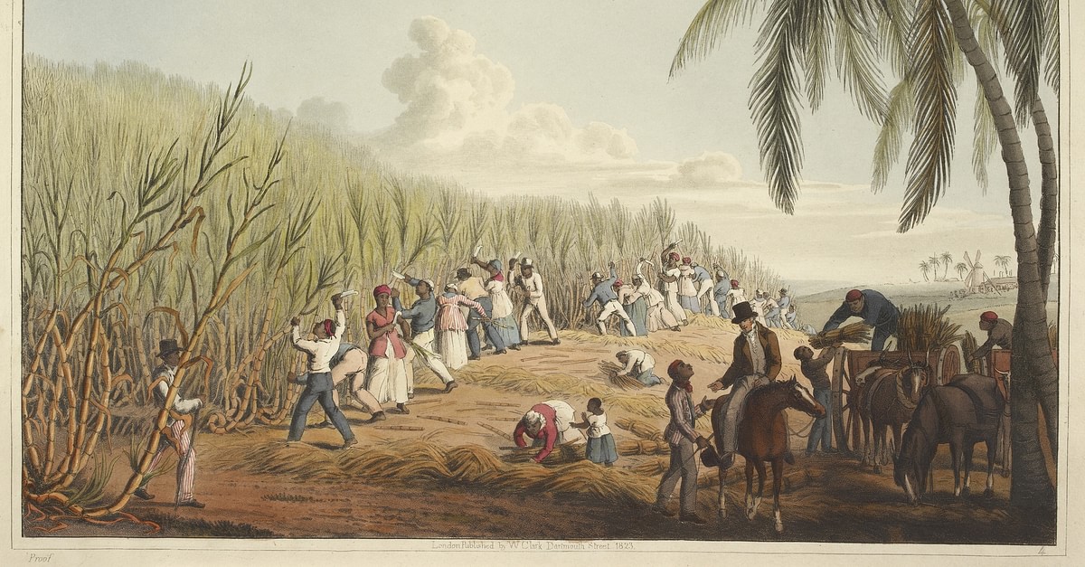Slavery in Plantation Agriculture World History Encyclopedia