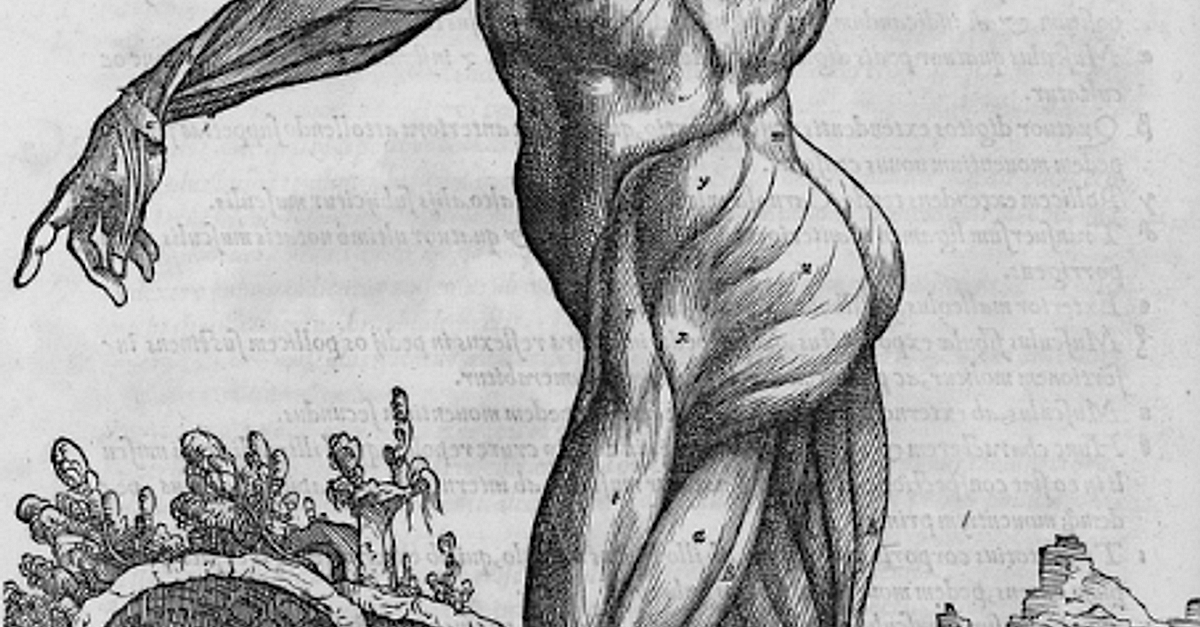 The Fabric of the Body: European Traditions of Anatomical