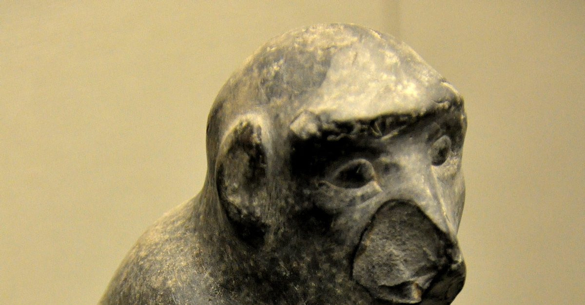 Statue of a Monkey from Kar Tukulti-Ninurta - World History Encyclopedia