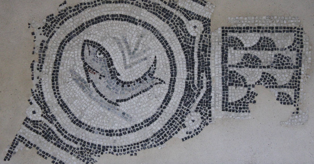 Roman Fish Mosaic, Como - World History Encyclopedia
