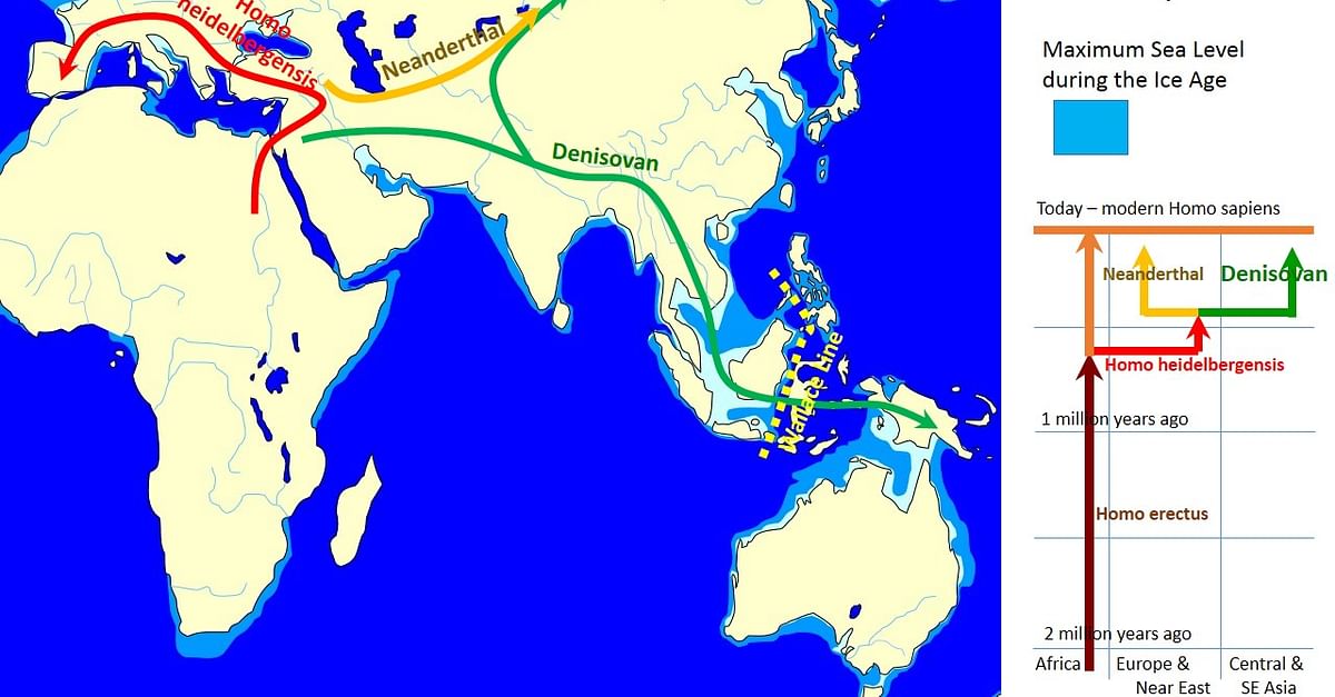 Spread and Evolution of Denisovans - World History Encyclopedia