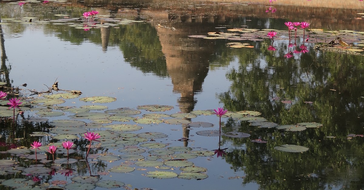 Buddhist Temple, Sukhothai (Illustration) World History Encyclopedia