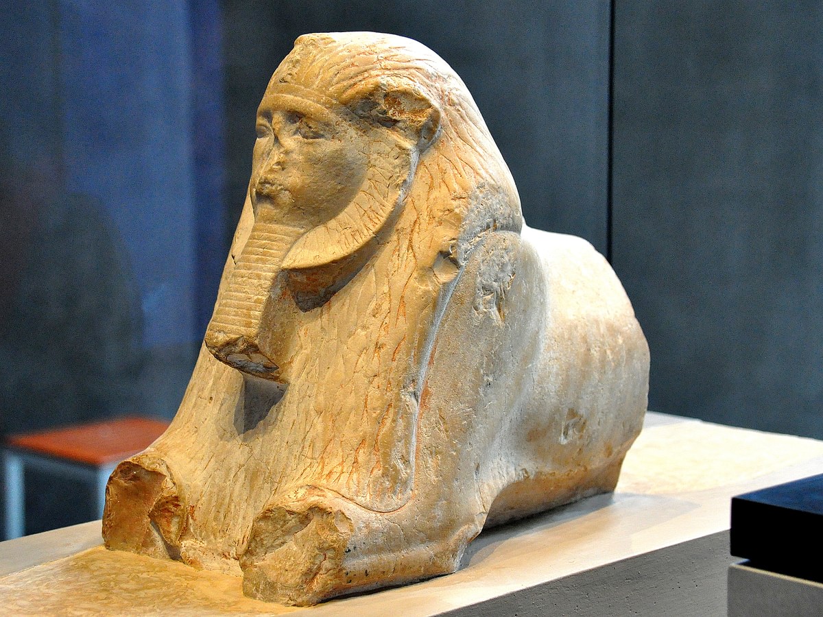 3411.jpg