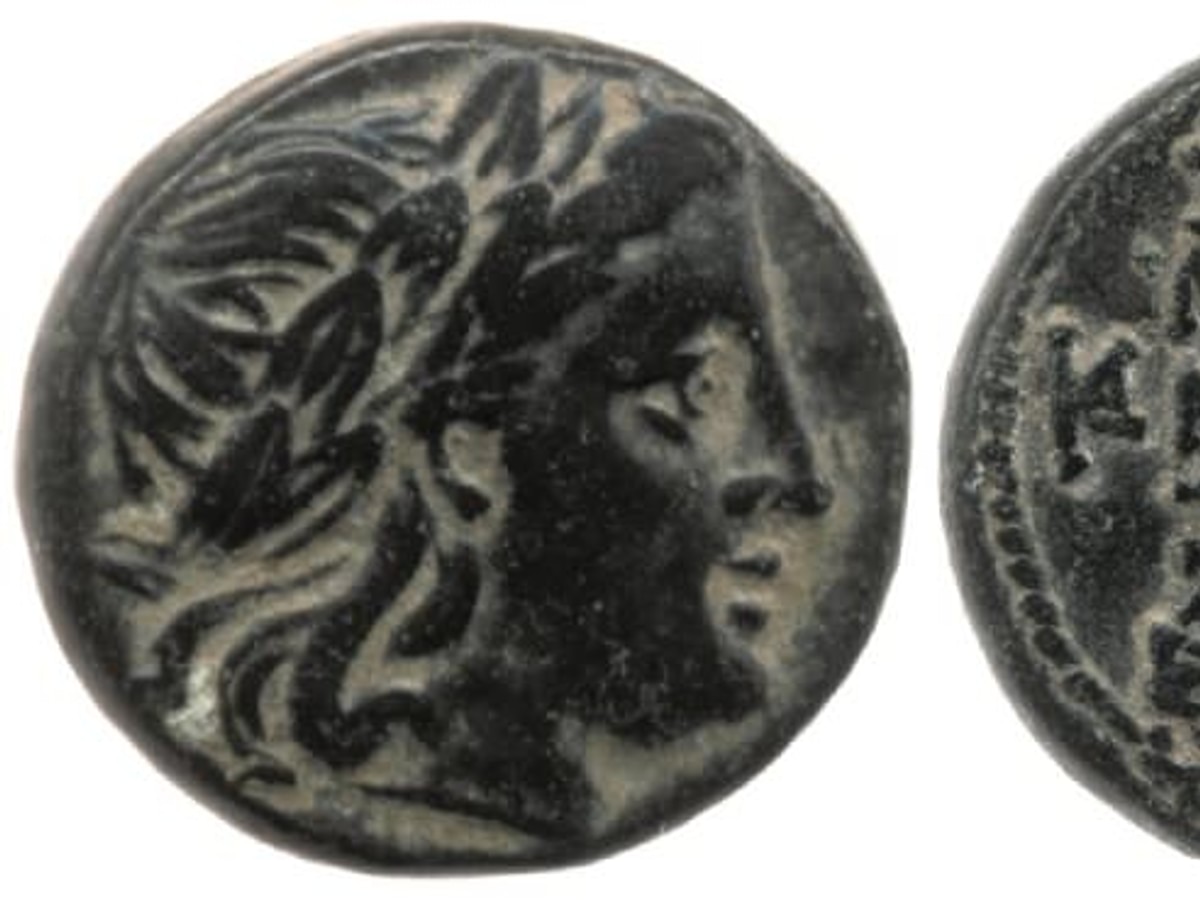 古代ギリシャ　ALEXANDER 　ボタン 古代ギリシャ ALEXANDER コイン ボタン 【公式通販】
