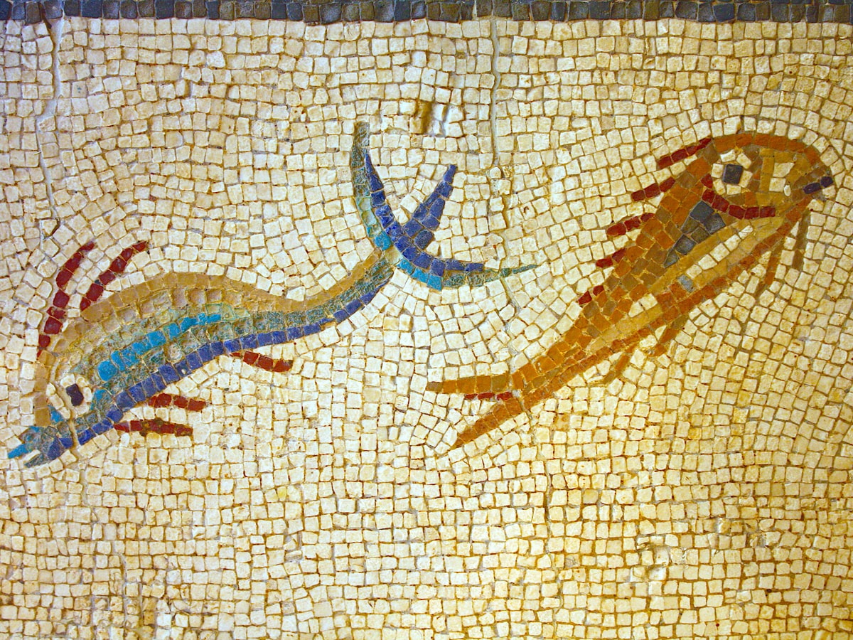 Ancient Roman Text Fermenting Fish Sauce