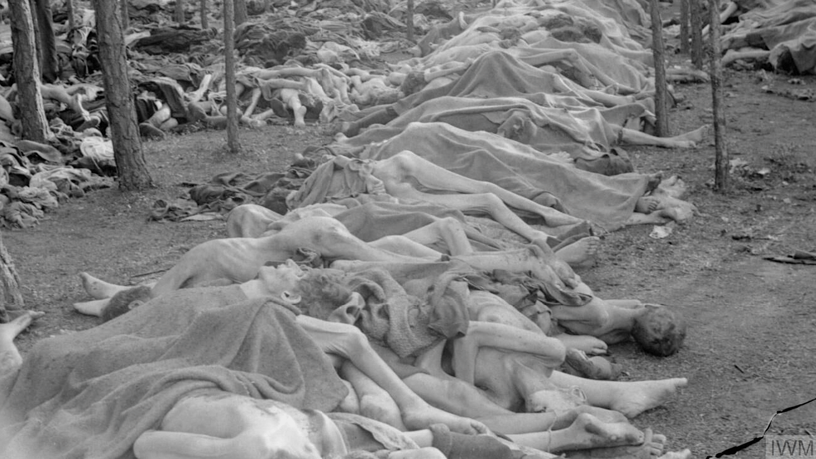 holocaust womem naked Eyewitness Accounts of the Holocaust - World History Encyclopedia
