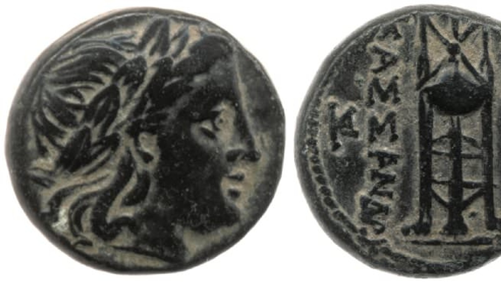 Cassander - World History Encyclopedia