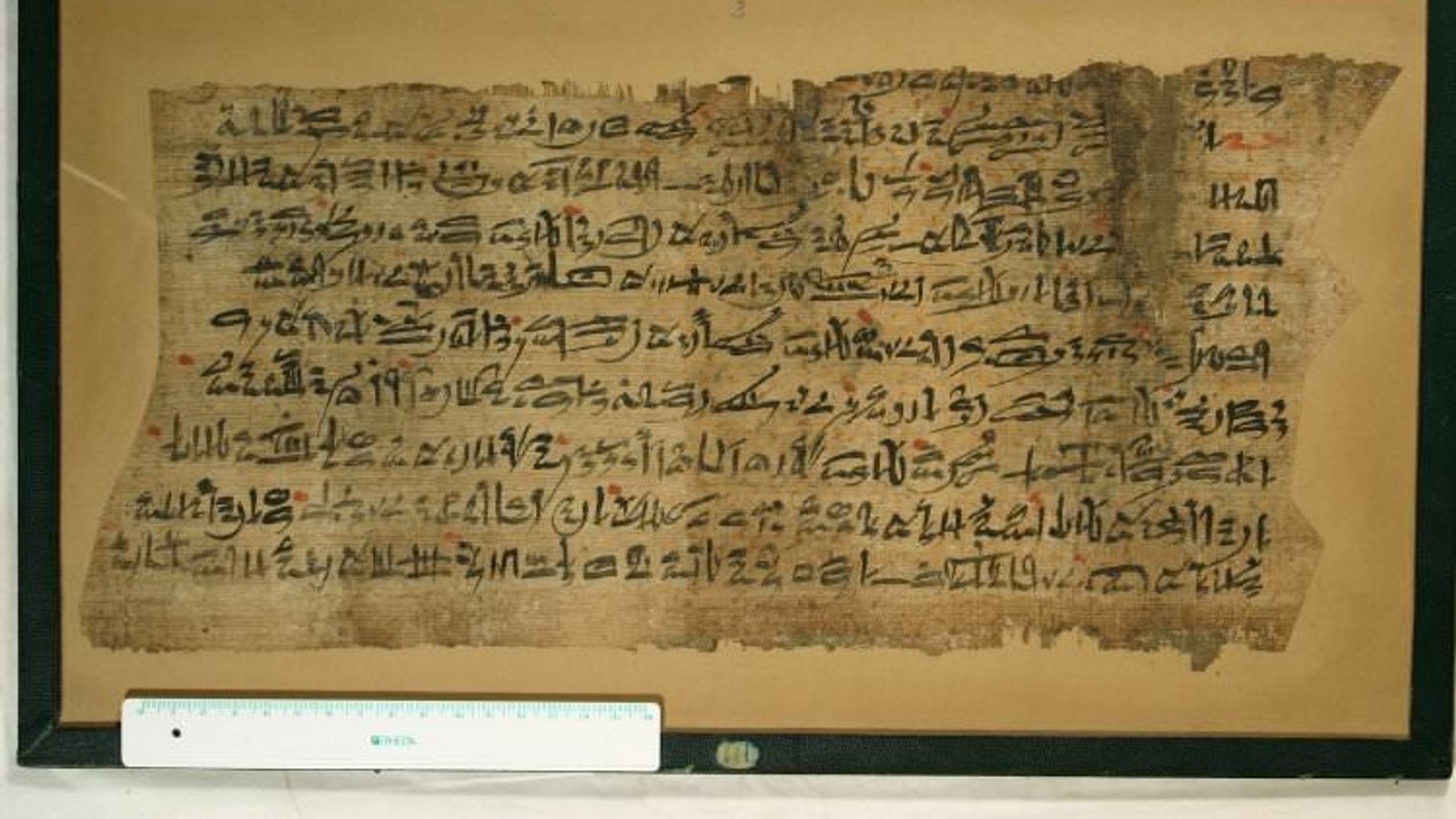 Papyrus in Ancient Egypt, Essay, The Metropolitan Museum of Art