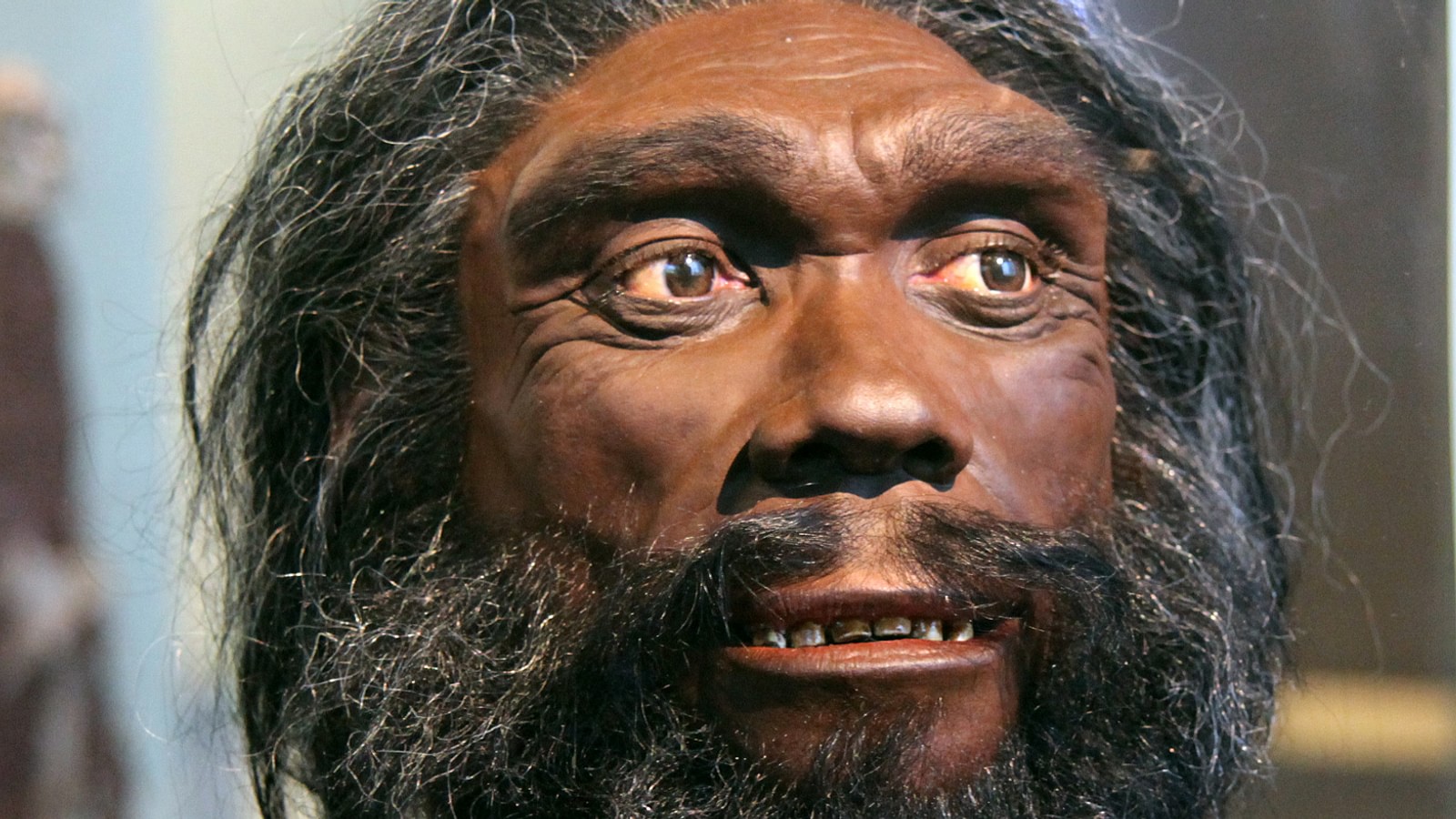 4. Homo Heldelbergensis