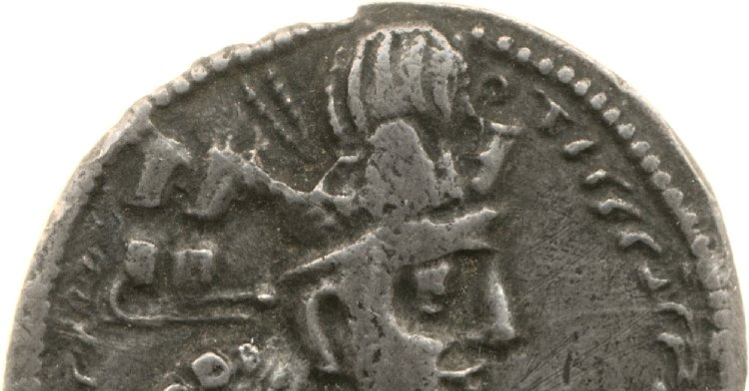11936.jpg