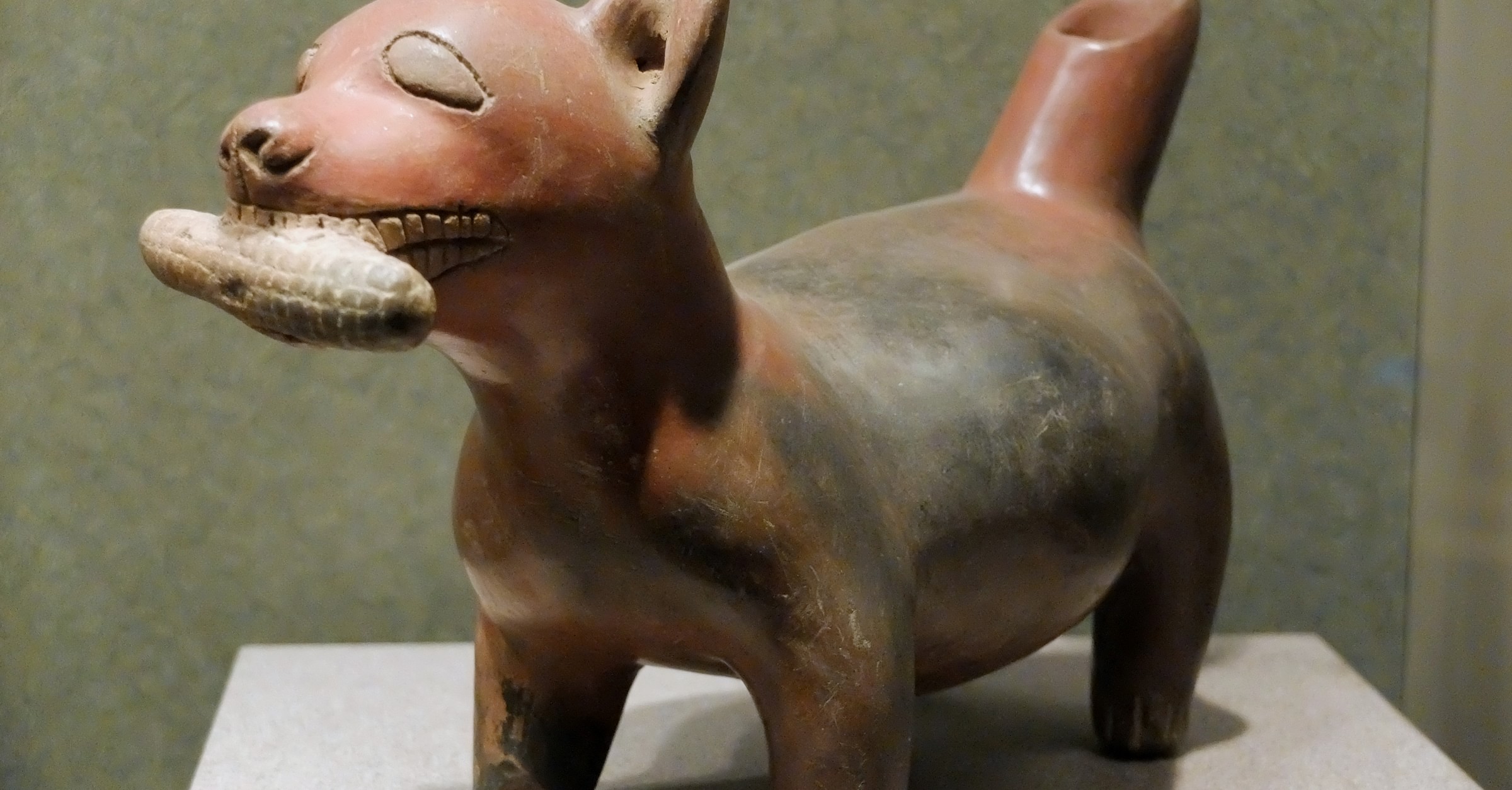 Colima Dog with Maize - World History Encyclopedia