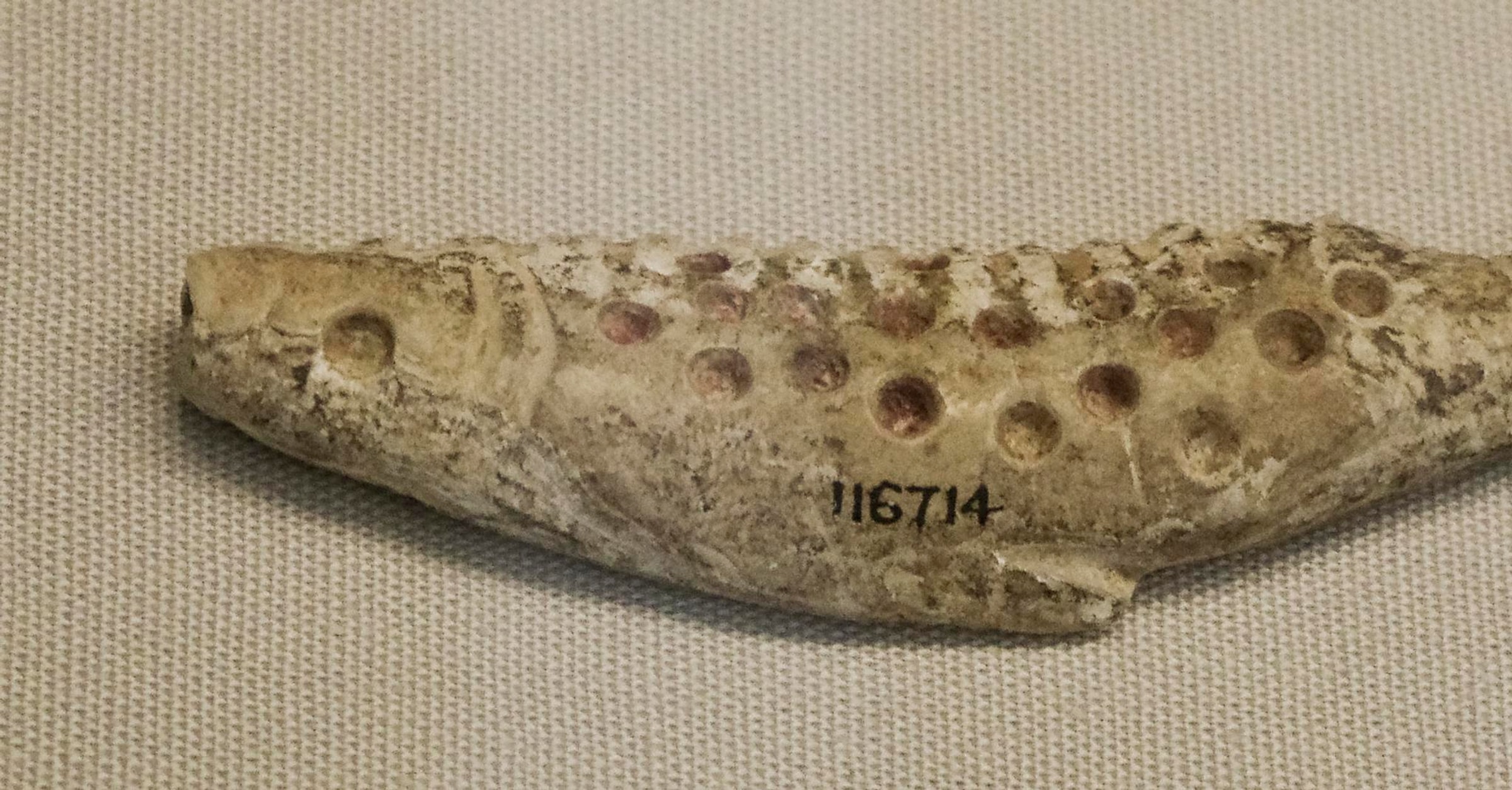 The Home of the Fish: A Sumerian Poem of a Trap or a Welcome