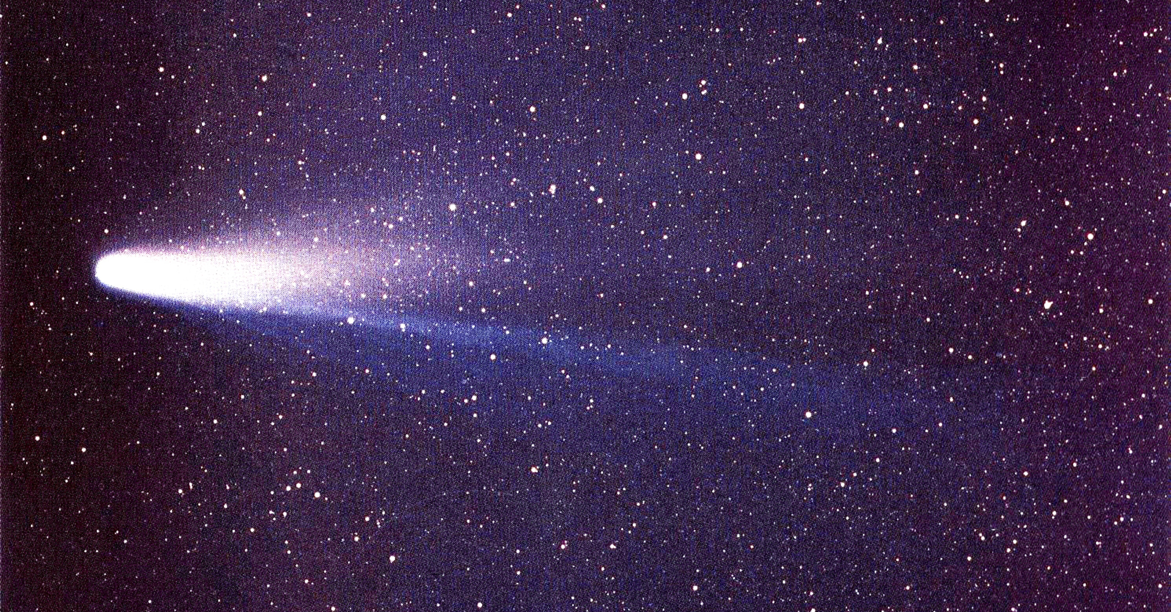 17956.jpeg