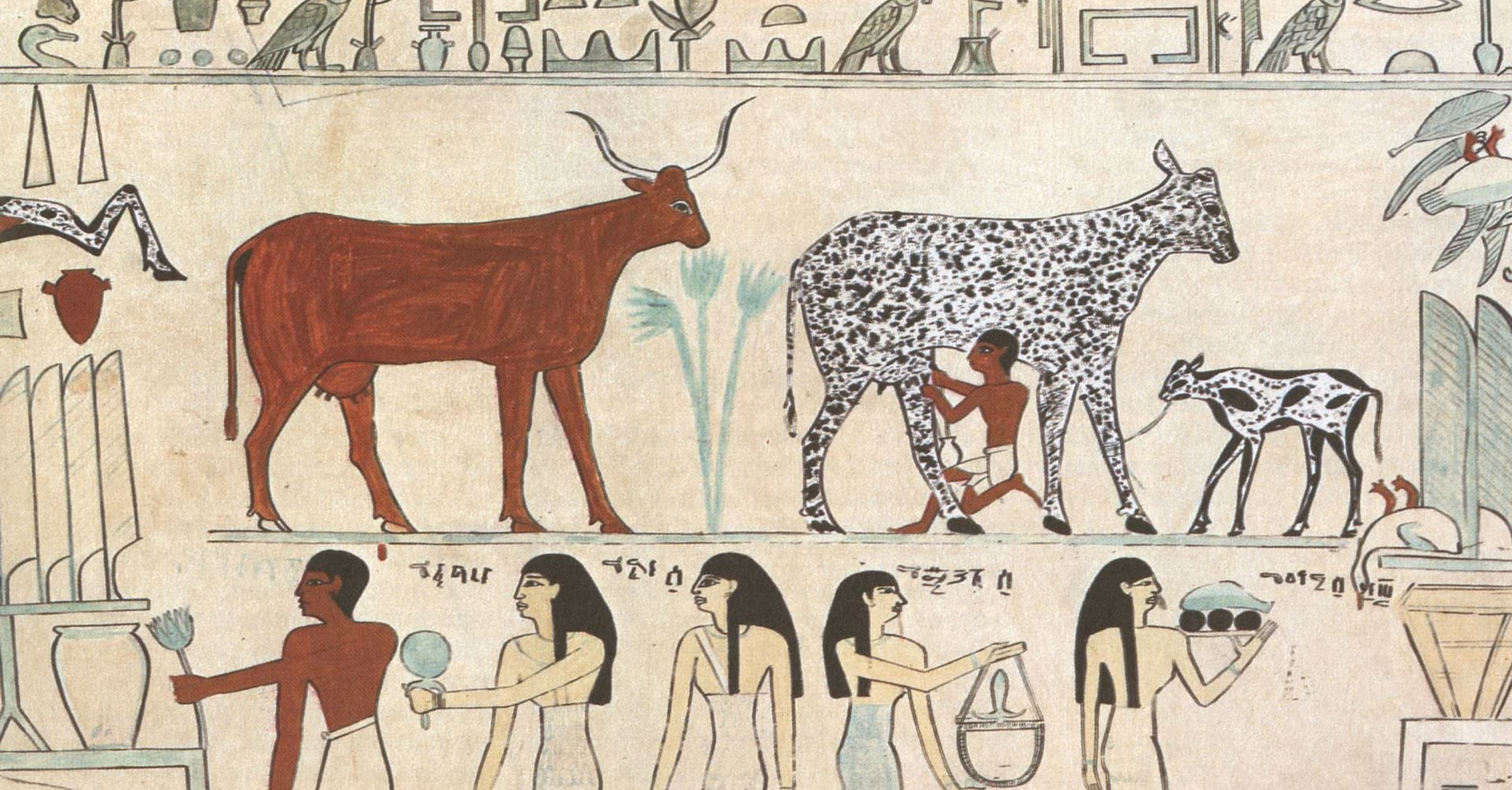 Roman Cow Early Domestication of Cattle - World History Encyclopedia