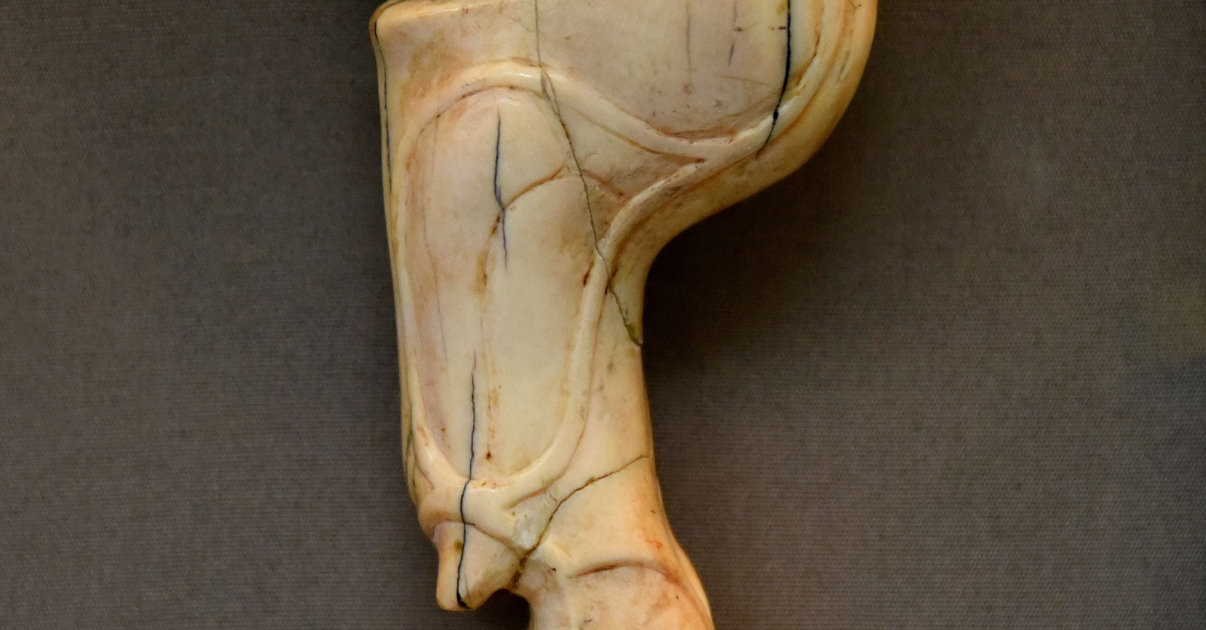 Ivory Machine Leg Ivory Stool Leg - World History Encyclopedia