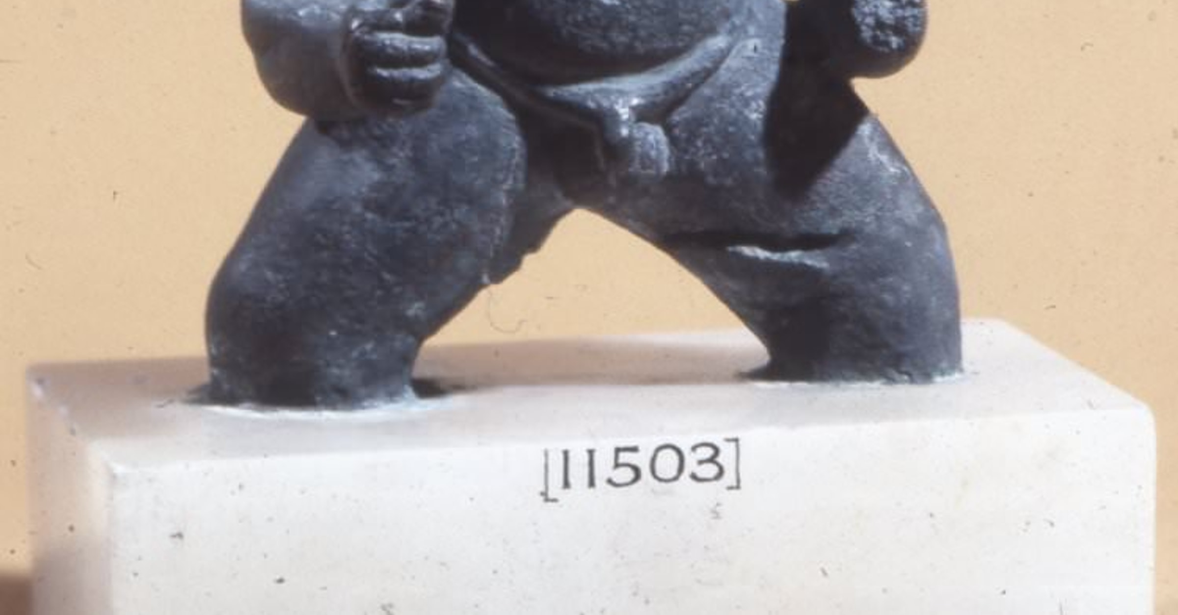 6011.jpg