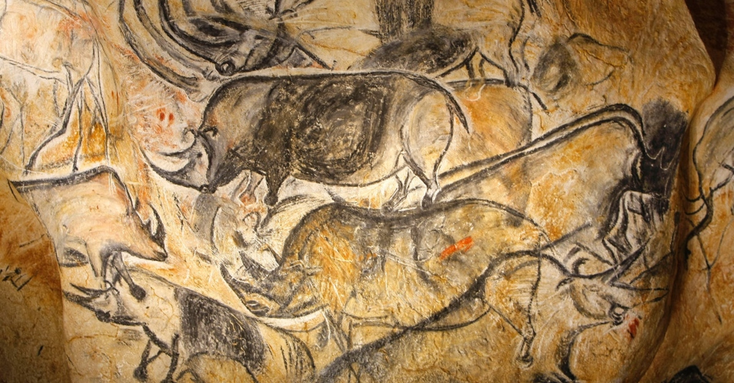 Chauvet H hle Enzyklop die Der Weltgeschichte chauvet-h-hle-enzyklop-die-der-weltgeschichte