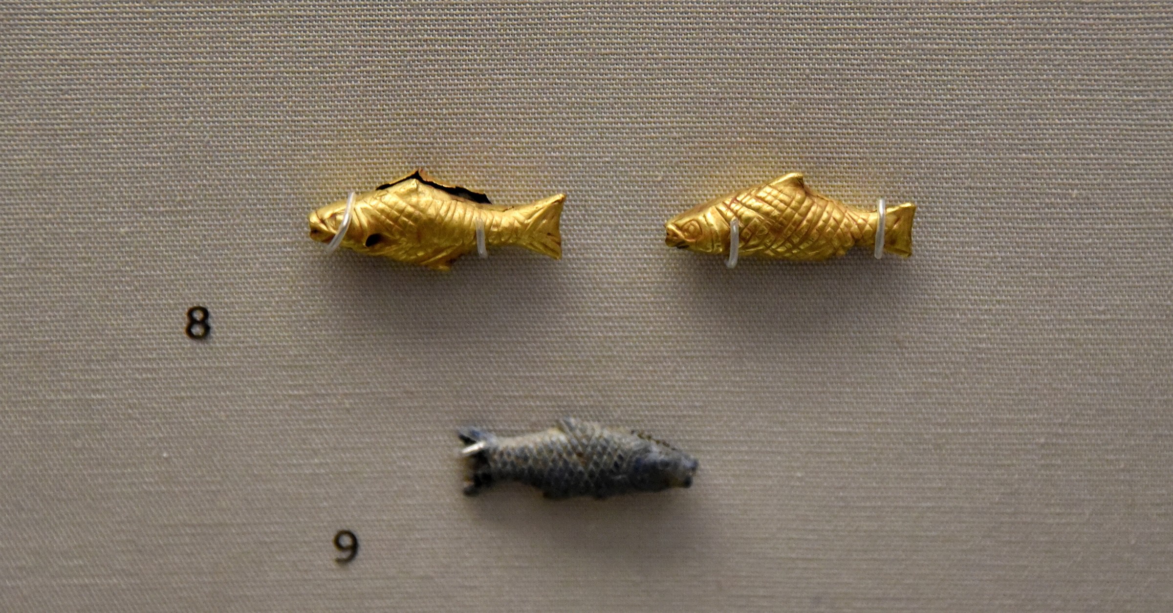 The Debate Between Bird and Fish: The Age-old Problem of Difficult Neighbors