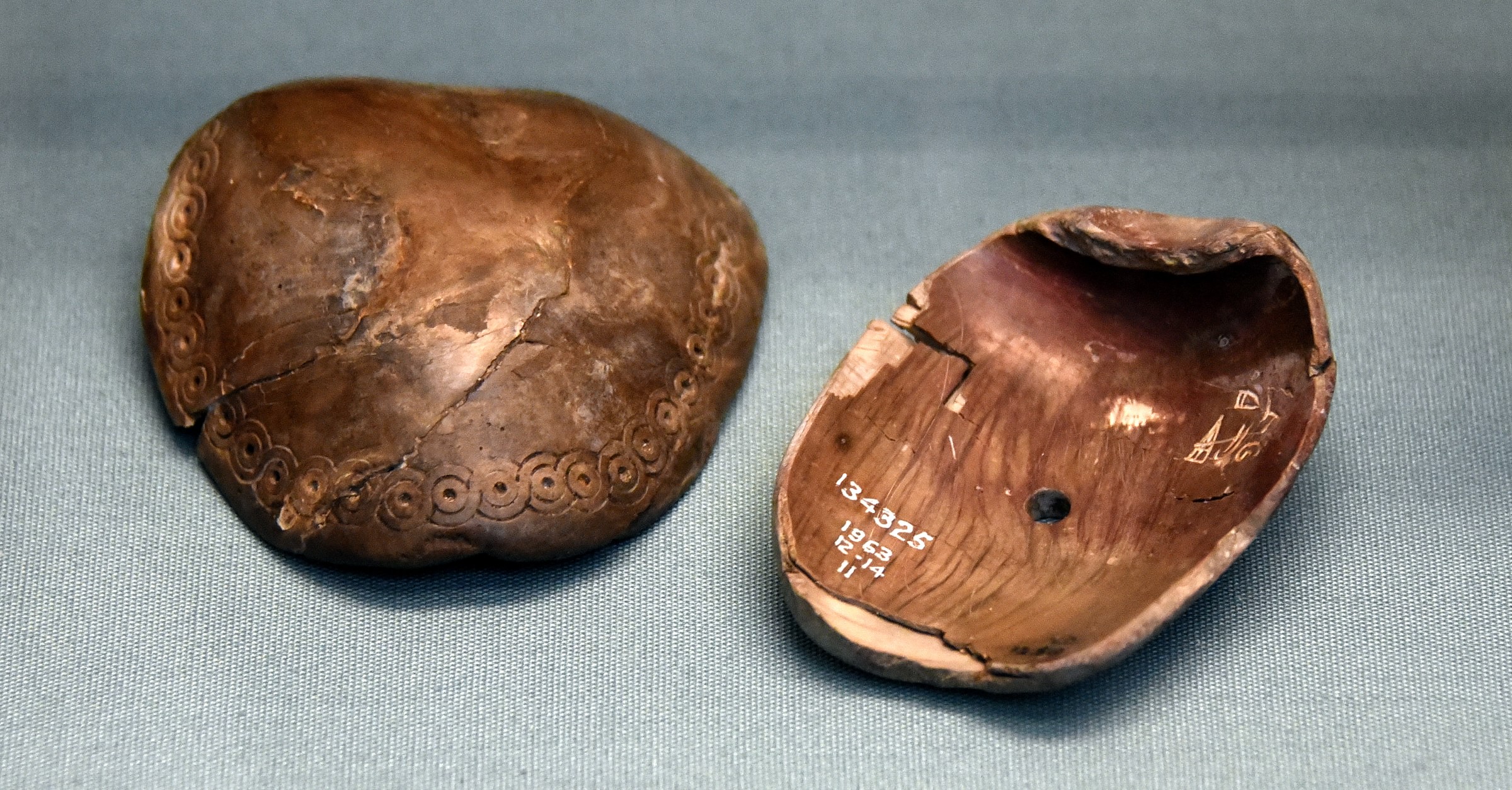 Shell Clappers Shell Clappers with Luwian Hieroglyphs - World History Encyclopedia