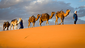 Les caravanes de chameaux dans le Sahara antique