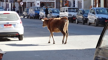 Thimphu Bhutan