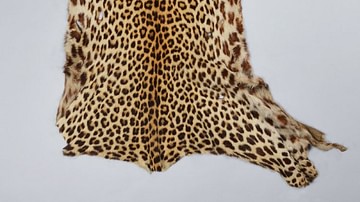 Shona Leopard Skin Apron