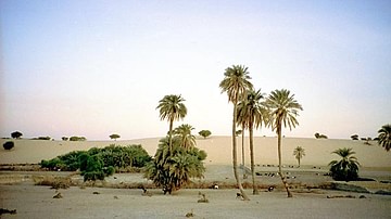 Mao Oasis, Chad