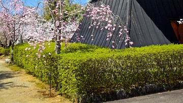 Bell Tower, Ninna-ji