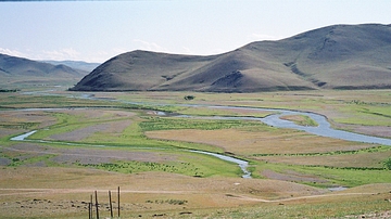 The Mongolian Steppe