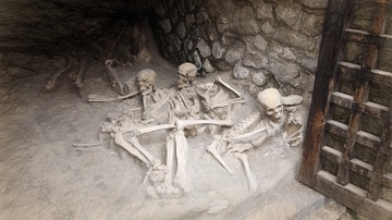 The Skeletons of Herculaneum