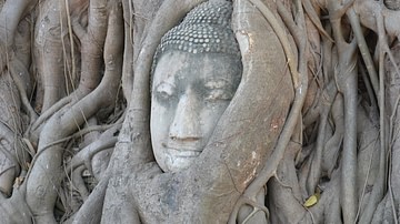 Buddha head at Wat Mahathat
