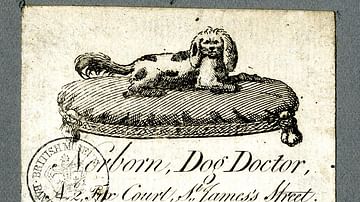 Trade Card of a Veterinary Surgeon