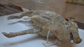 Plaster Cast of a Pig from the Eruption of Vesuvius