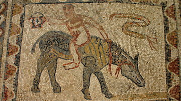 House of the Athlete Mosaic, Volubilis