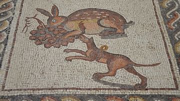 Hunting Dog Mosaic