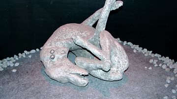 Dog, Pompeii