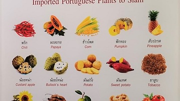 Foods and Plants Introduced to Thailand by the Portuguese