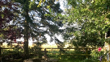 Saint Brigid's Well, Kildare