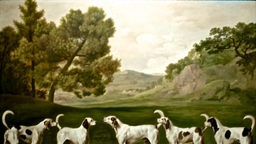 Five of Lord Rockingham's Hounds in a Landscape