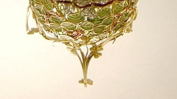 Clover Leaf Egg by Fabergé