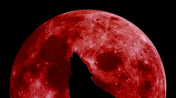 Blood Moon with Wolf
