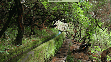 Levada Aqueduct, Madeira