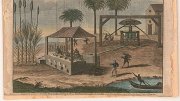 Colonial Sugar Cane Manufacturing