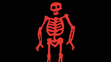 Jolly Roger of Edward Low