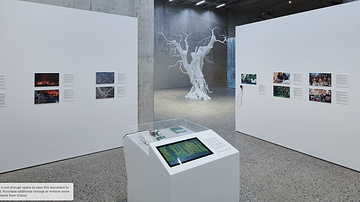In the Forest - a Cultural History Exhibition, Zürich