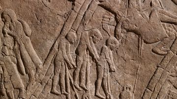 Lachish relief at Nineveh