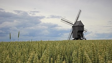 Windmill at Valmy
