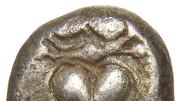 Silphium Seed on Silver Drachma