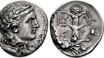 A Coin of Magas of Cyrene with Silphium Plant
